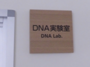DNA実験室.jpg