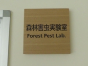 森林害虫実験室.jpg